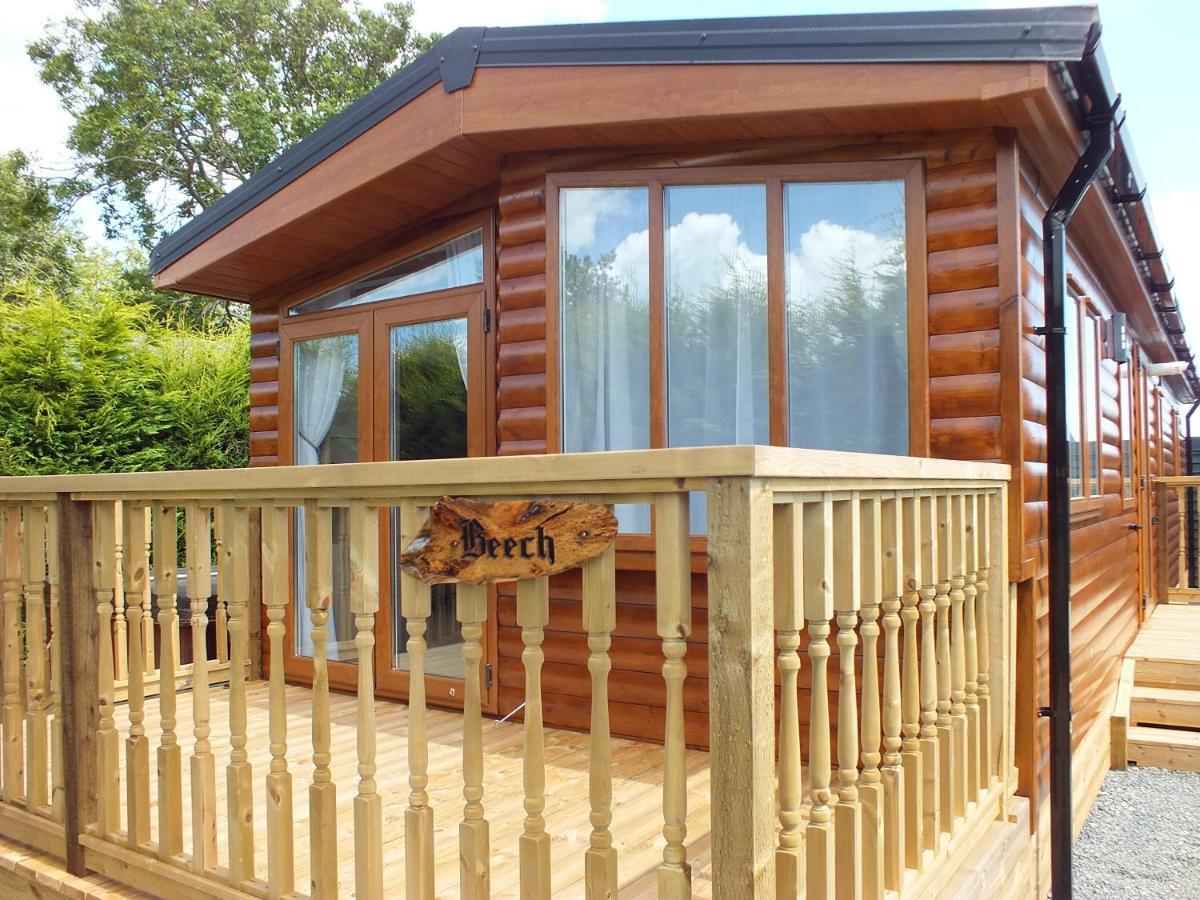 Willa Beech Swanage Zewnętrze zdjęcie